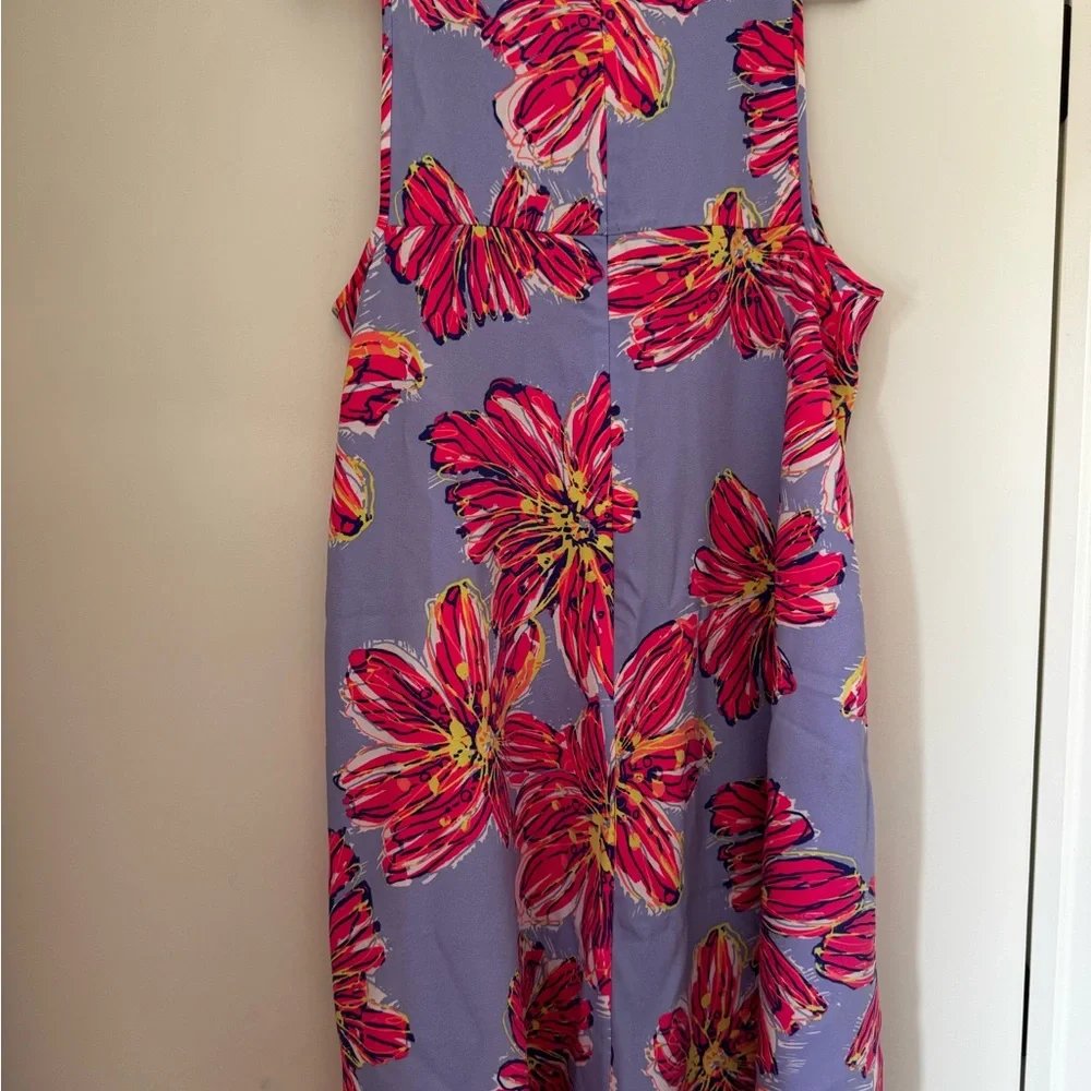 Lilly Pulitzer HTF & Holy Grail Molly Haynes Dress. SZ Large - Picture 5 of 7